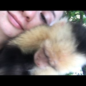 Meet your Posher, Brittany